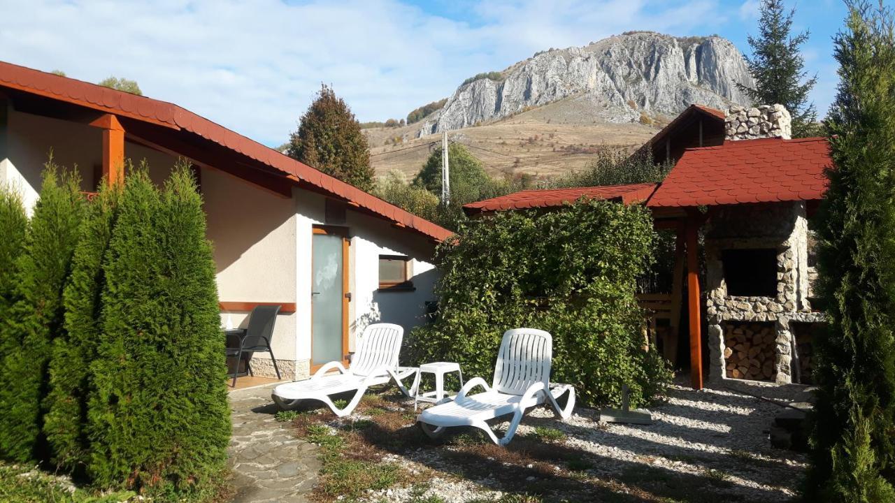 Studiouri Valisoara Valisoara (Alba) Exterior foto