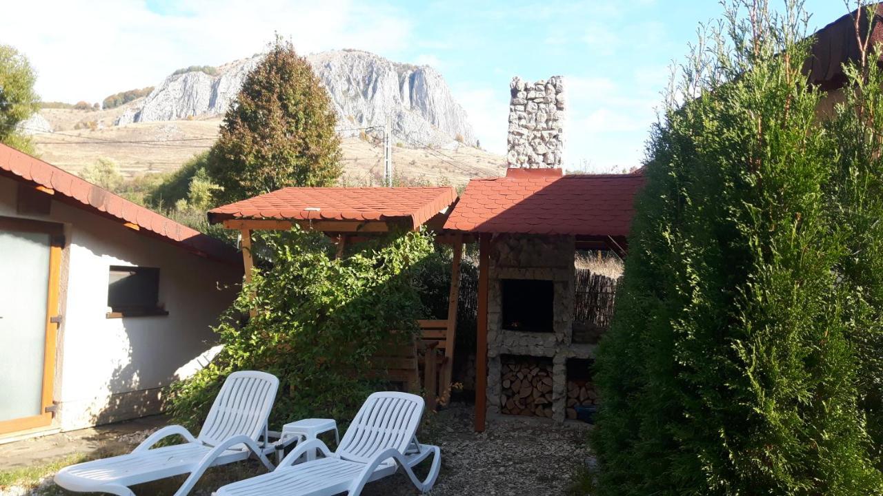 Studiouri Valisoara Valisoara (Alba) Exterior foto