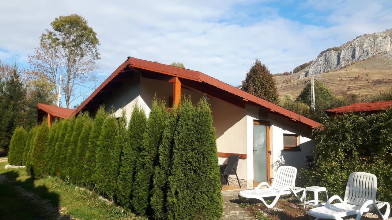 Studiouri Valisoara Valisoara (Alba) Exterior foto