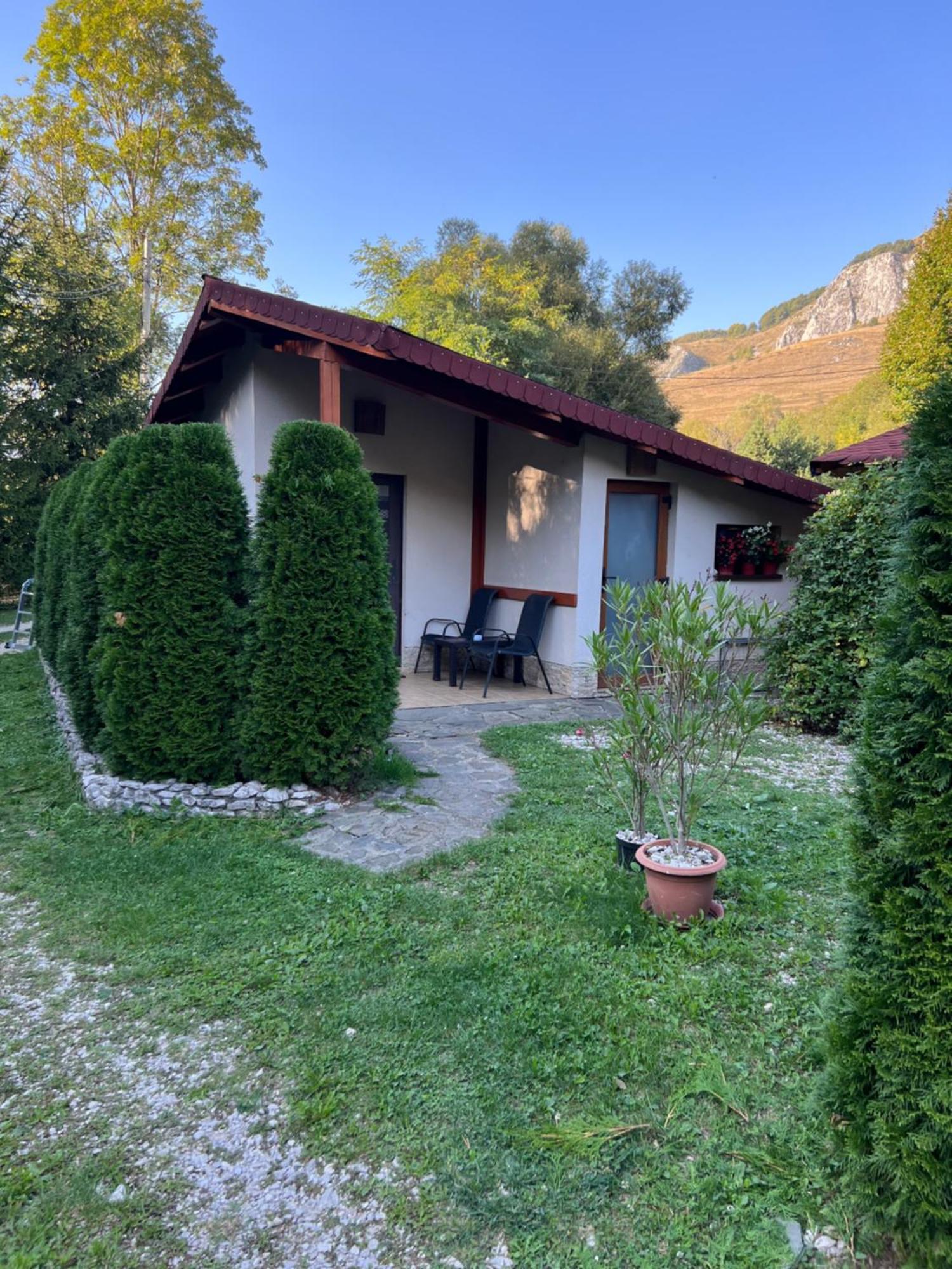 Studiouri Valisoara Valisoara (Alba) Exterior foto