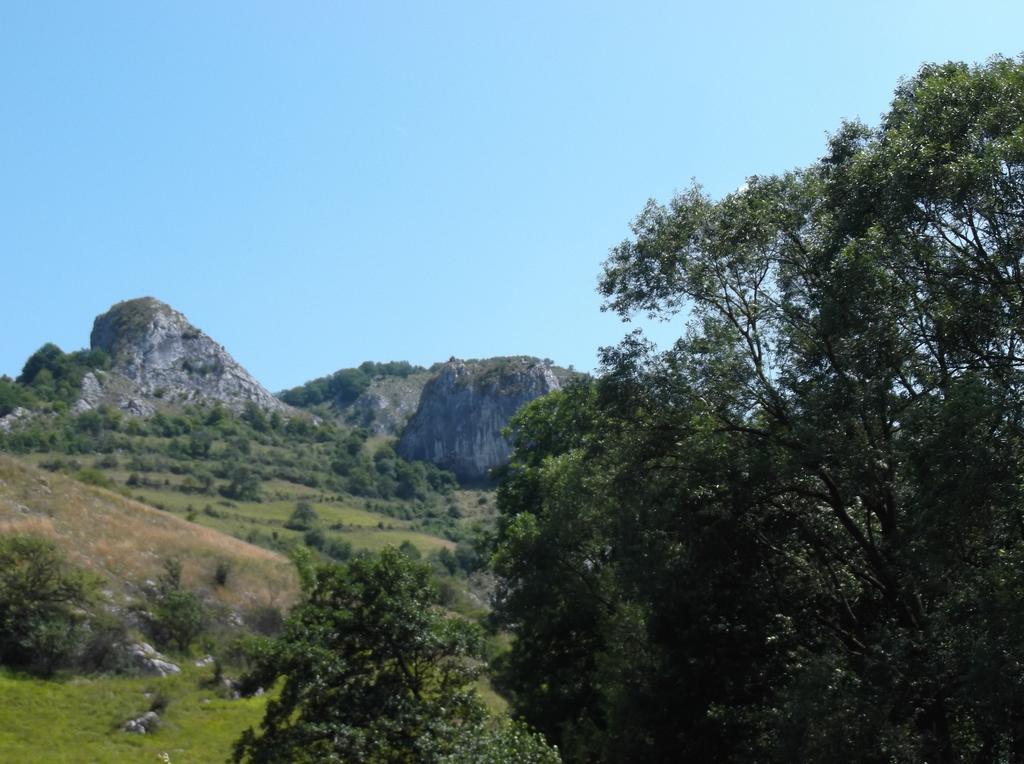 Studiouri Valisoara Valisoara (Alba) Quarto foto