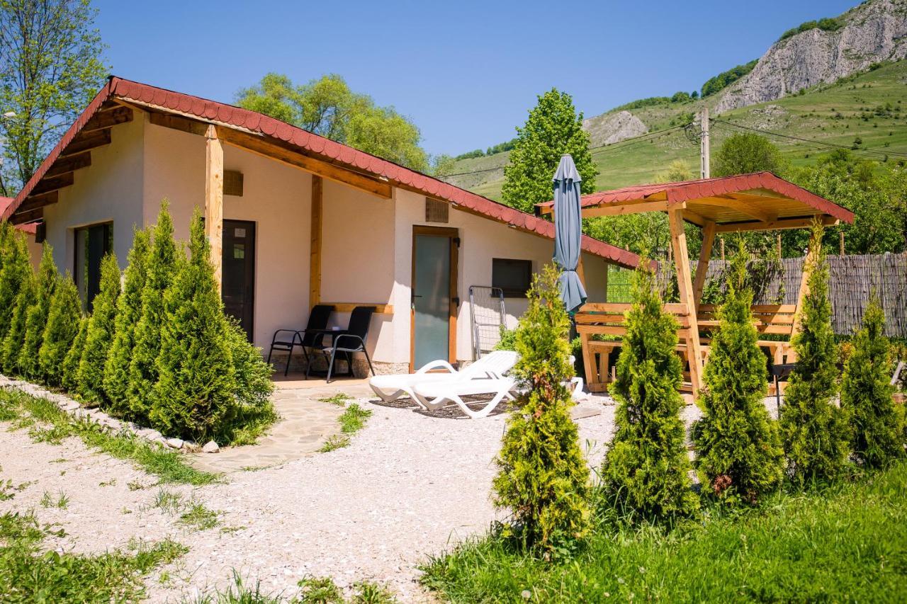 Studiouri Valisoara Valisoara (Alba) Exterior foto