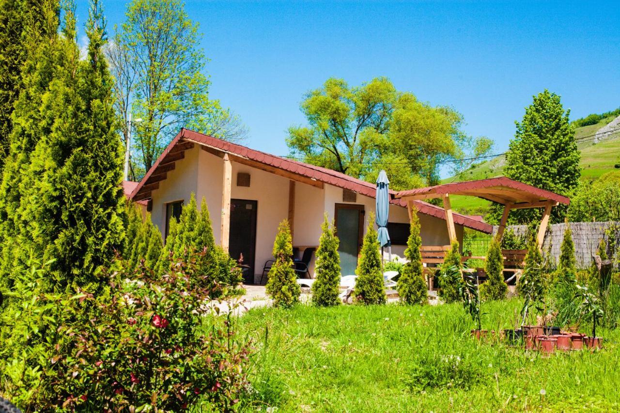 Studiouri Valisoara Valisoara (Alba) Exterior foto