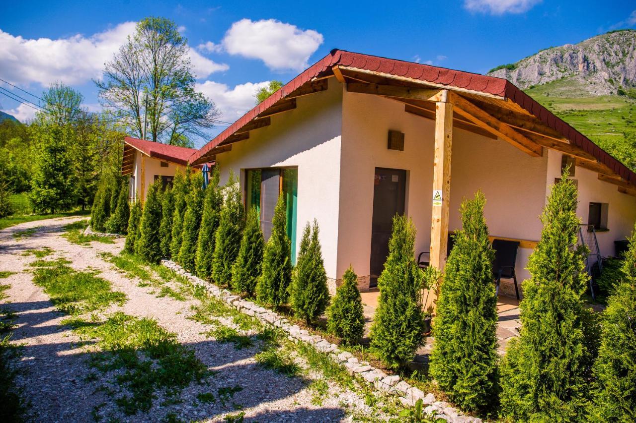 Studiouri Valisoara Valisoara (Alba) Exterior foto